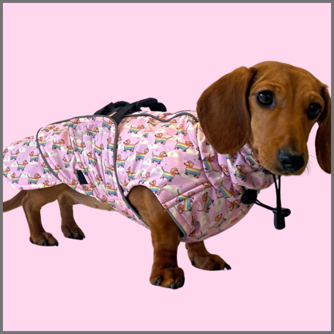 Chasing Rainbows Pink Polartec Fleece Waterproof Dachshund Coat Sausage Dog