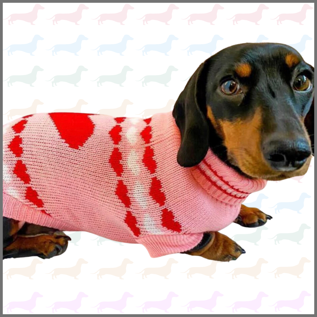Sausage Dog Box Dachshund ‘Be Mine’ Love Heart Pink Jumper