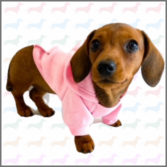 Sausage Dog Box Pink Dachshund Hoodie