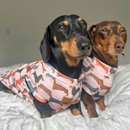 Beige Sausage Dog DoxieCool Dachshund Cooling Tee +30 Sun Protection Dog Vest