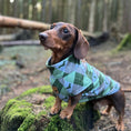 Load image into Gallery viewer, Blue Highland Argyle Fleece Dachshund Long Dog Zipper Jumper
