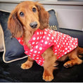 Load image into Gallery viewer, Sausage Dog Box Polka Puffer Coat
