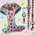 Load image into Gallery viewer, A Dach Of Sweetness Lead
