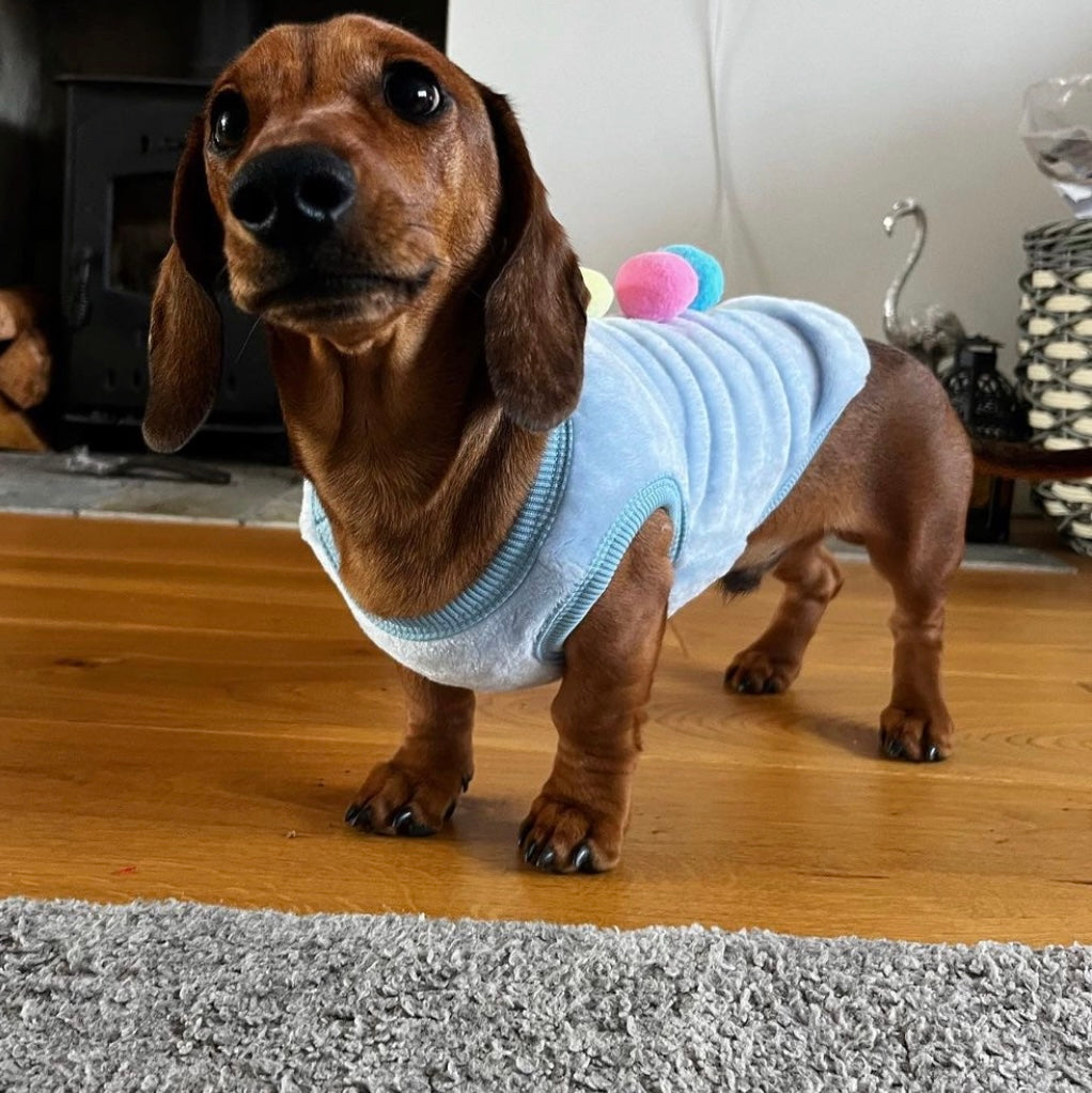 Blue Ice Cream Sundae - Sausage Dog Box Dachshund PJ's/Jumper