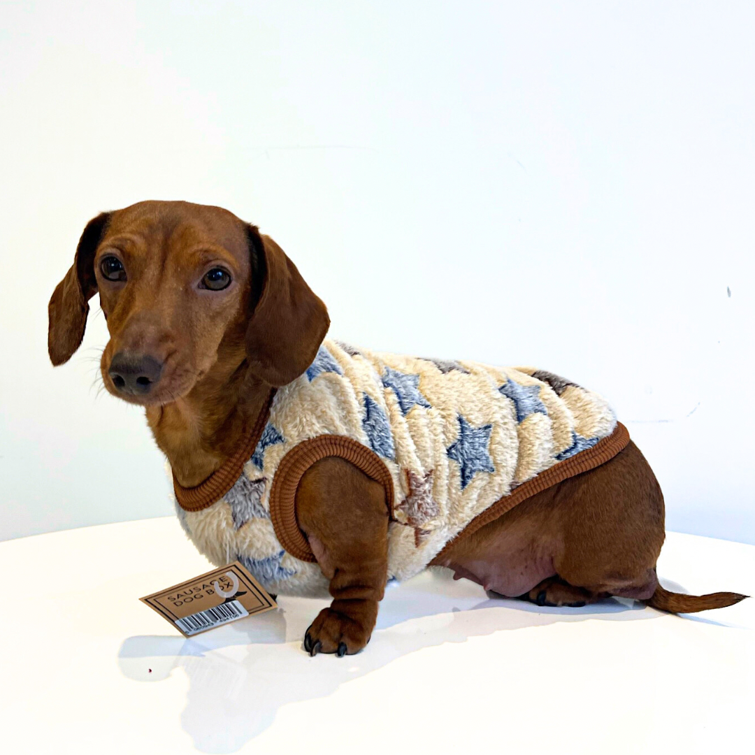 Beige Twinkle Twinkle - Sausage Dog Box Dachshund PJ's/Jumper