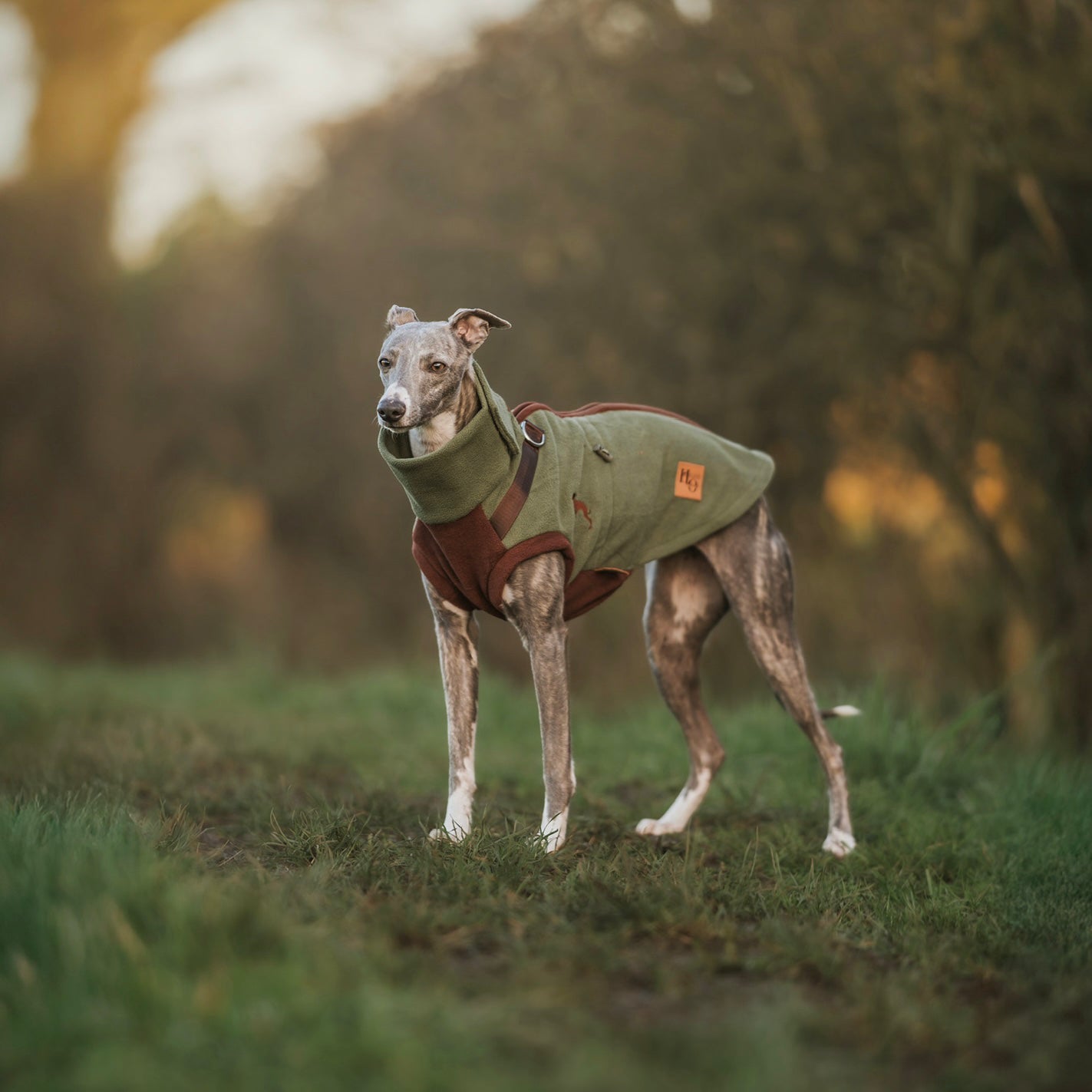 Pistachio PupDri Zip Back Dog Fleece Harness Jumper | Hound Outfitters