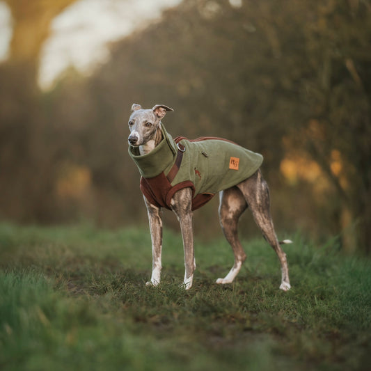 Pistachio PupDri Zip Back Dog Fleece Harness Jumper | Hound Outfitters