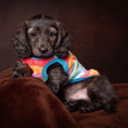 Load image into Gallery viewer, Caterpillar Sausage Dog Box Puppy PJ Jumper
