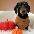 Load image into Gallery viewer, Gingerbread Cookie Luxury Cable Knit Dachshund Jumper - Sausage Dog Box
