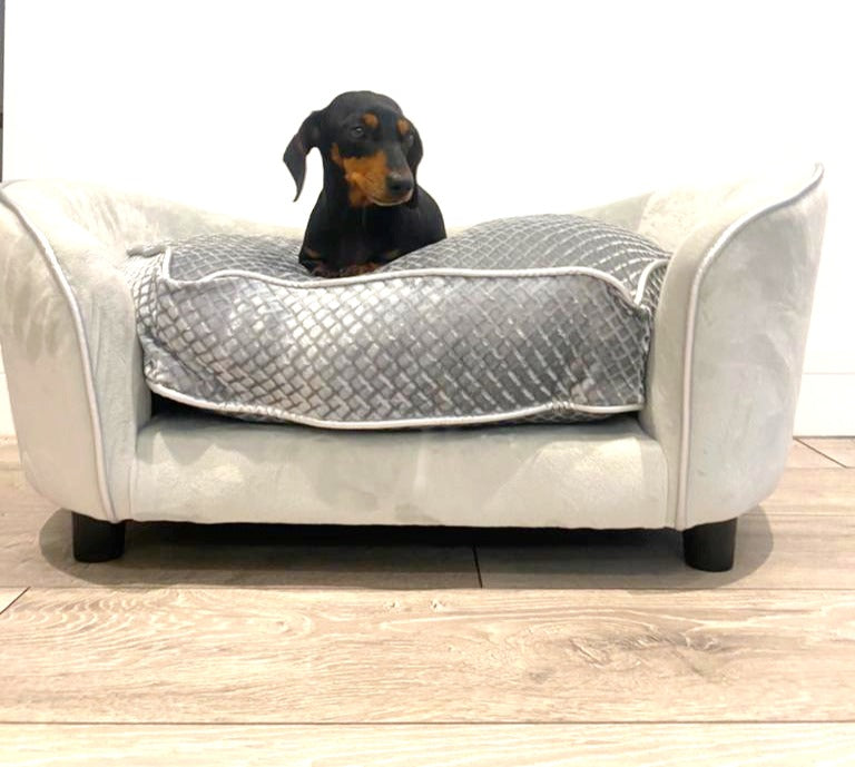 Sausage Dog Box Molly Sofa