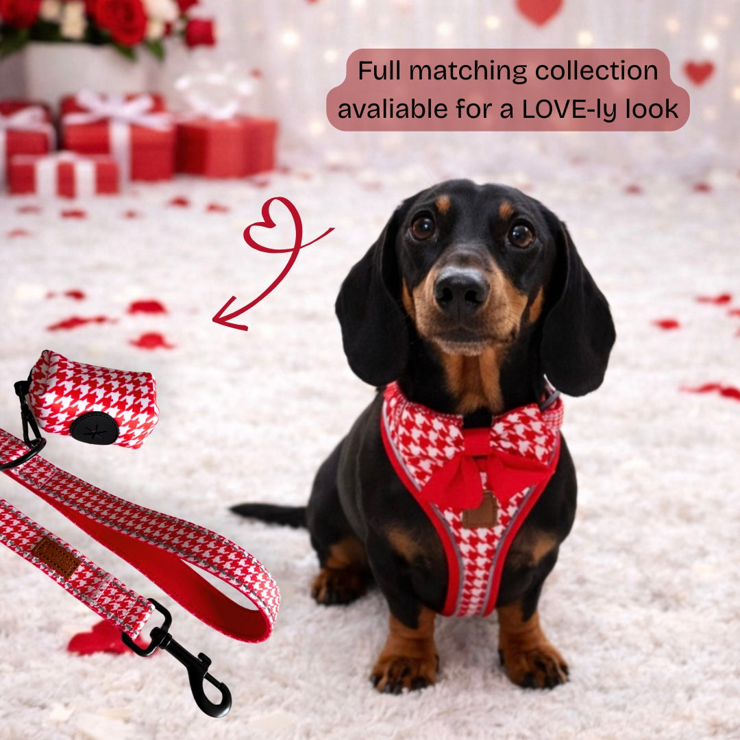 Red Houndstooth Sailor Bow for Dachshunds