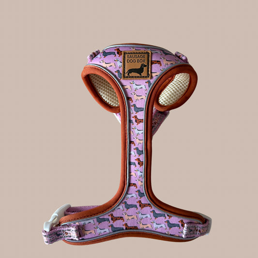 Pink Sophisticated Sausage Dachshund Anti-Rub Harness