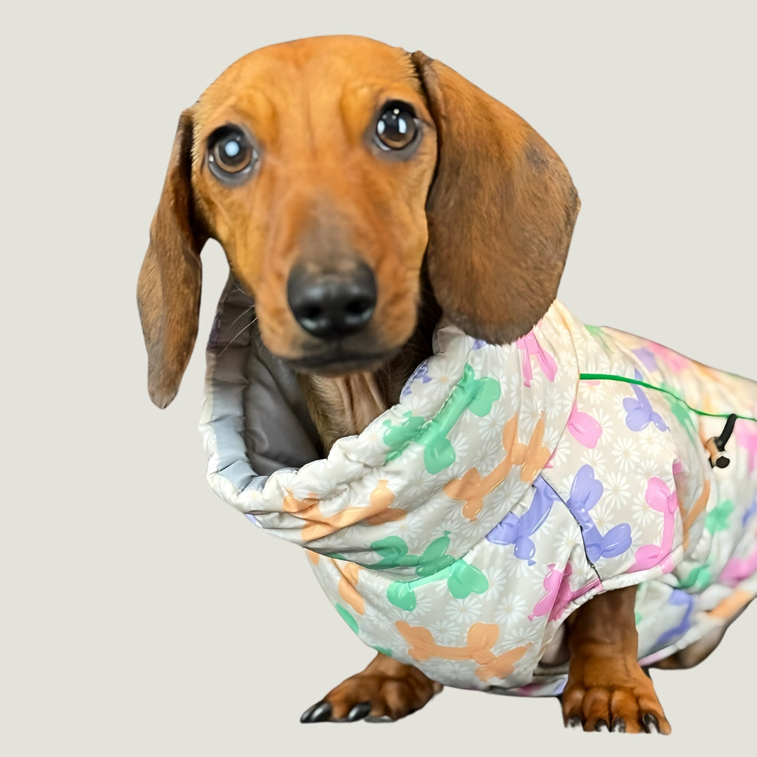 Daisy Balloon Thermal Dachshund Puffer Jacket Sausage Dog Harness Coat