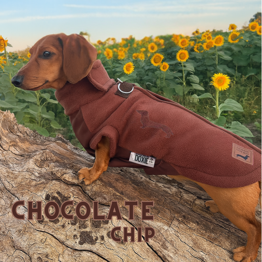 Chocolate Waterproof Dachshund Harness Fleece | DoxieDri by Sausage Dog Box