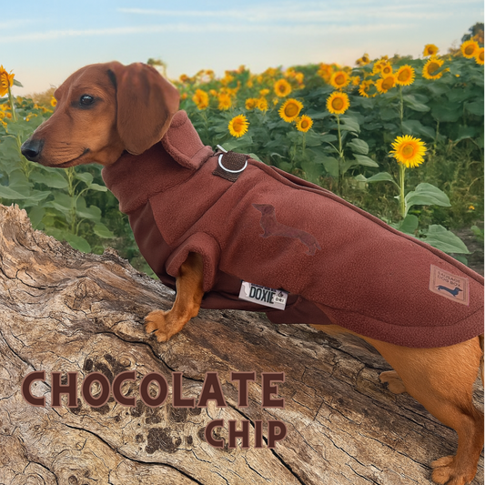 Chocolate Waterproof Dachshund Harness Fleece | DoxieDri by Sausage Dog Box
