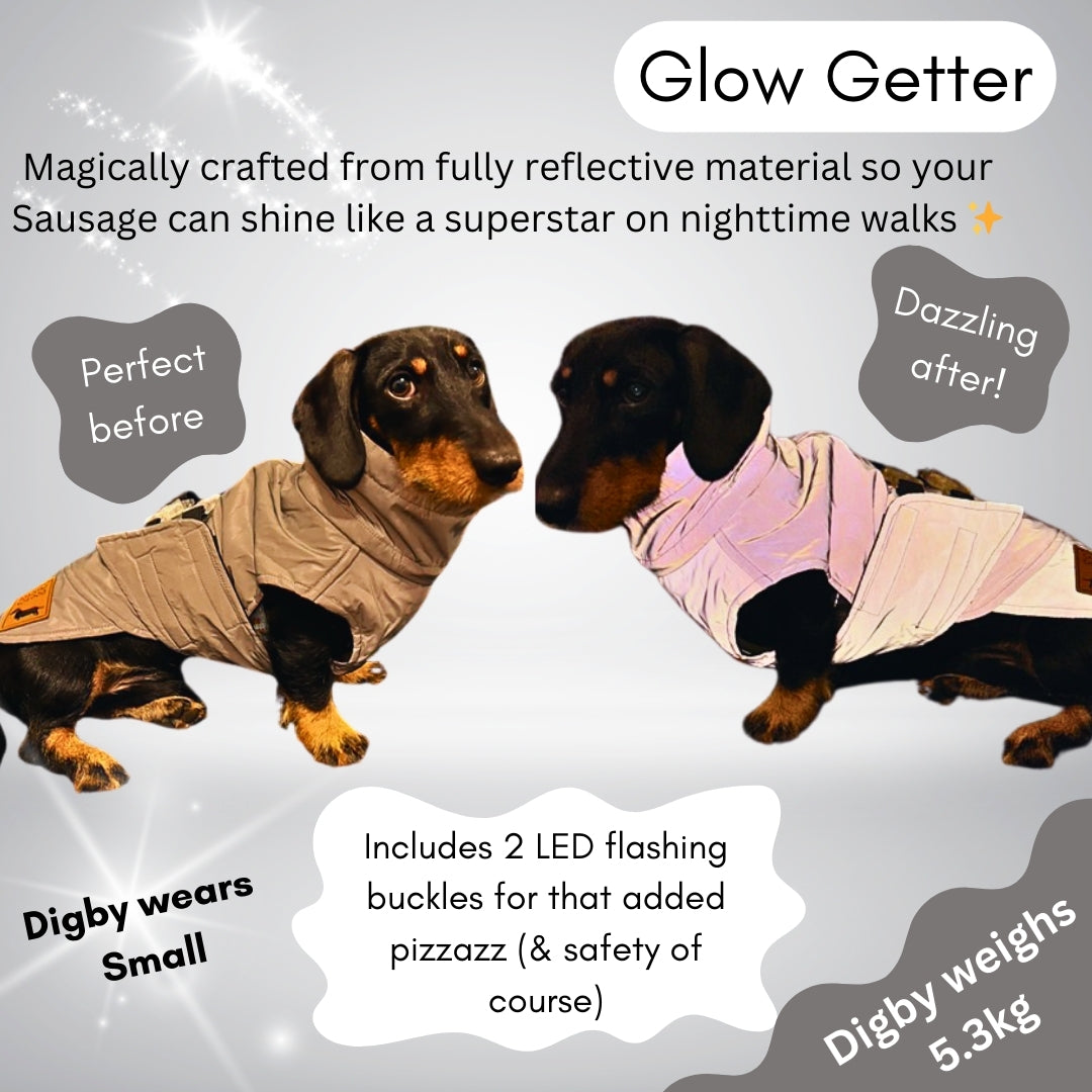 Sausage Dog Coat - Glow Getter - Reflective Light Up LED Dachshund Coat