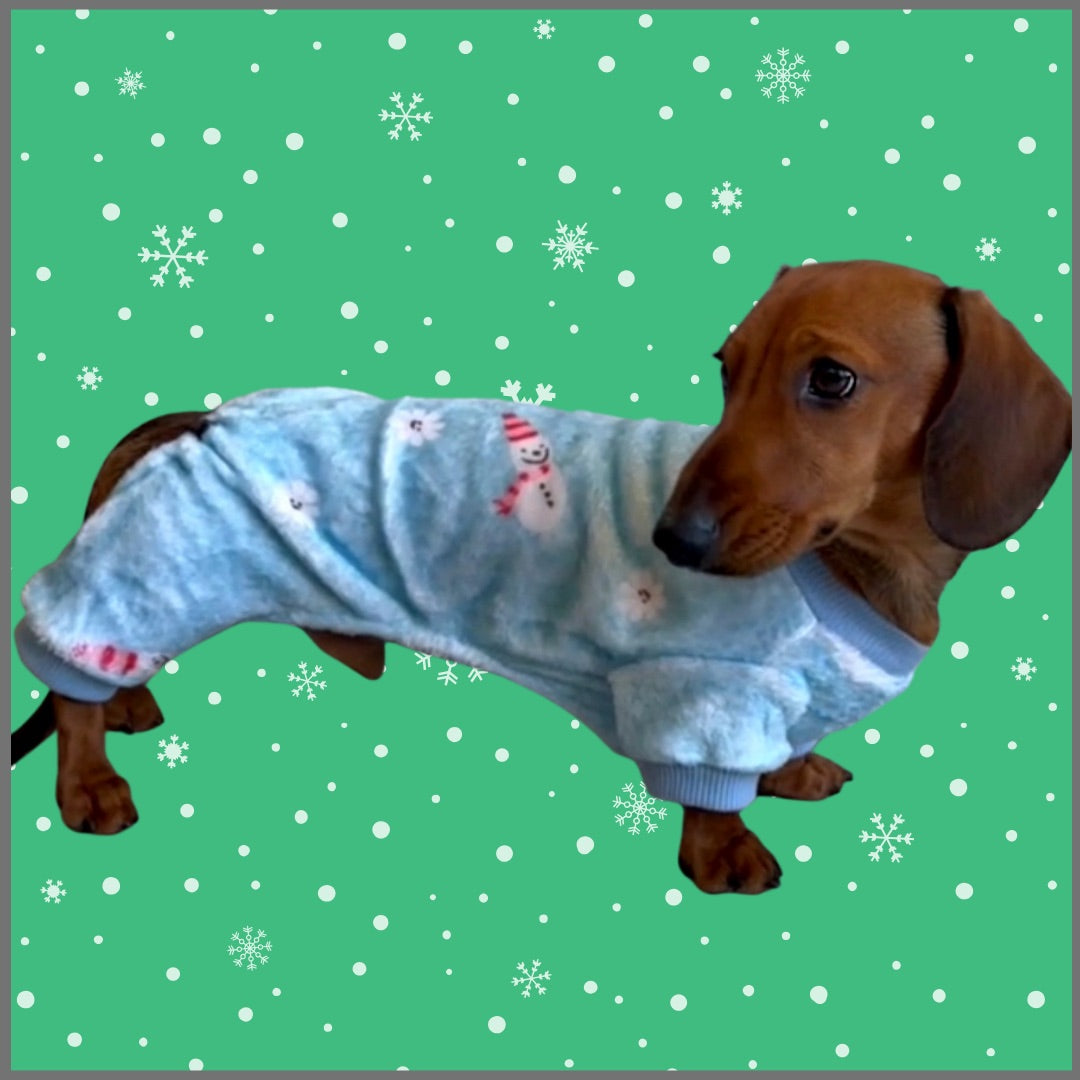 Snow Cute Dachshund Christmas PJ Onesie Outfit - Blue