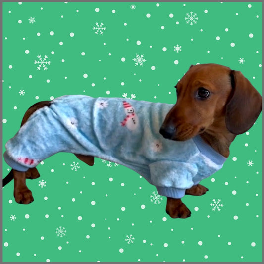 Snow Cute Dachshund Christmas PJ Onesie Outfit - Blue