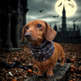 Load image into Gallery viewer, Black Twilight Doxie Dachshund Dog Snood
