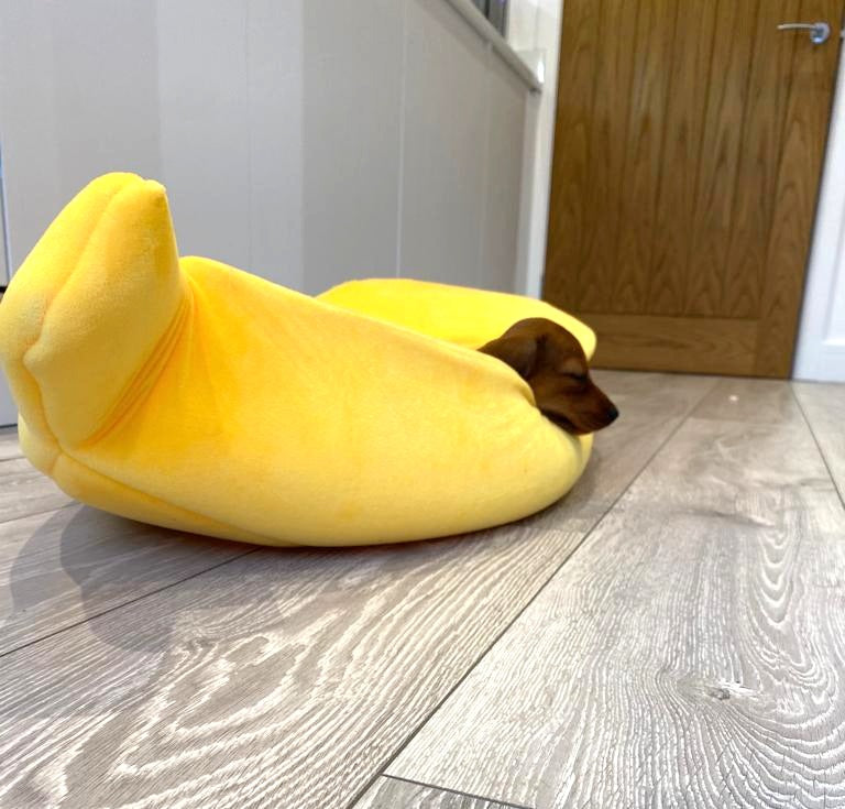 Sausage Dog Box Banana Cave Bed - SMALL