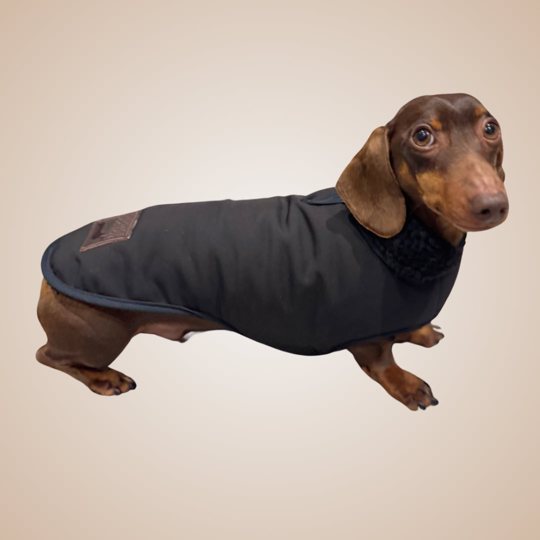 Black Cougar Sherpa Lined Dachshund Dog Coat / Parker Jacket For Sausage Dogs