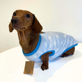 Load image into Gallery viewer, Blue Chirp Birdy - Sausage Dog Box Dachshund PJ's/Jumper
