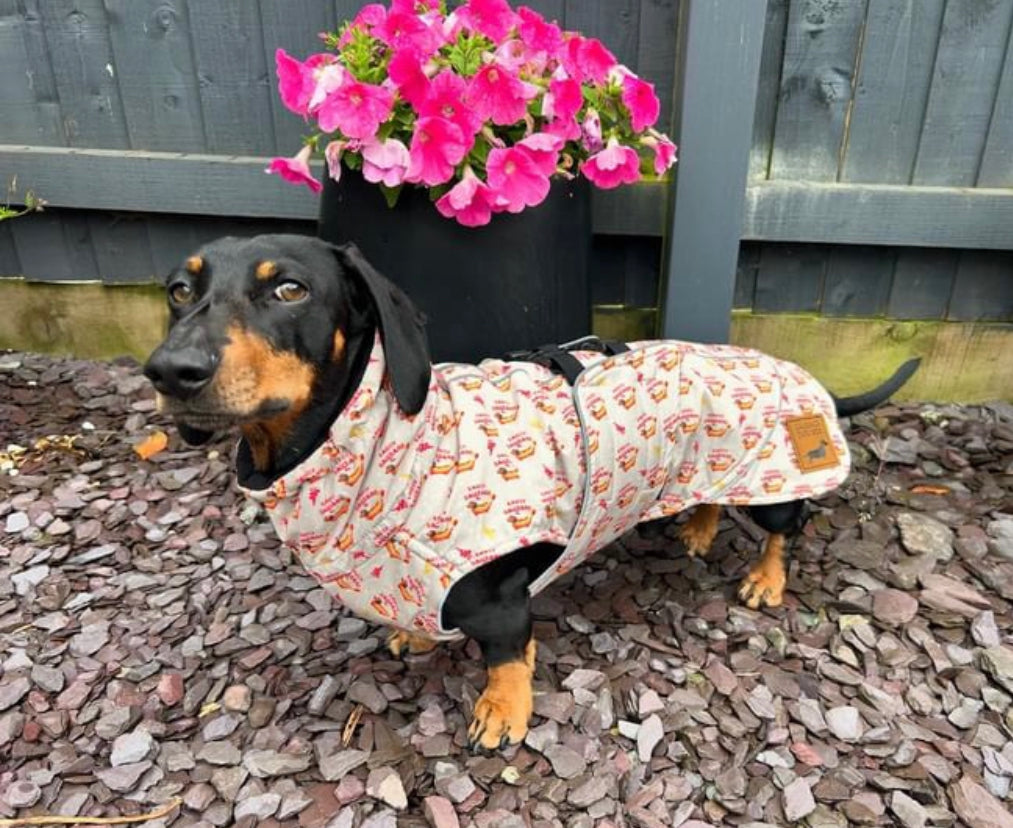 Warm Waterproof Dachshund Coat - Saucy Sausage Raincoat In Hot Dog Design