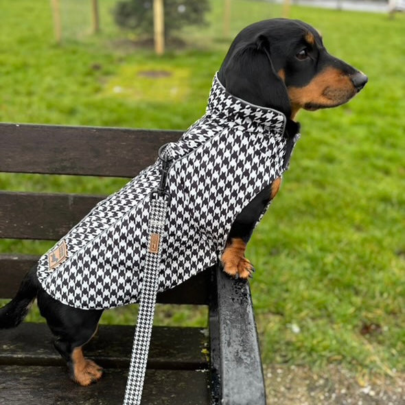 Houndstooth 'Dach-A-Mac' Dachshund Rain Mac In Bag Sausage Dog Box Folda