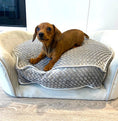 Load image into Gallery viewer, Sausage Dog Box Molly Sofa
