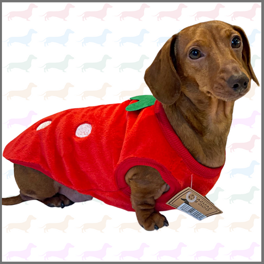 Red Juicy Strawberry - Sausage Dog Box Dachshund PJ's/Jumper
