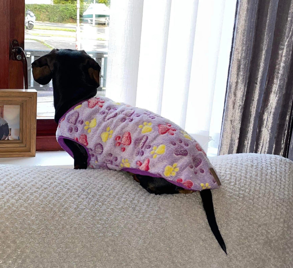 Purple Pitter Patter Paws - Sausage Dog Box Dachshund PJ's/Jumper