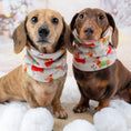 Load image into Gallery viewer, Frosty Sausages  Dachshund Christmas Dog Snood Scarf
