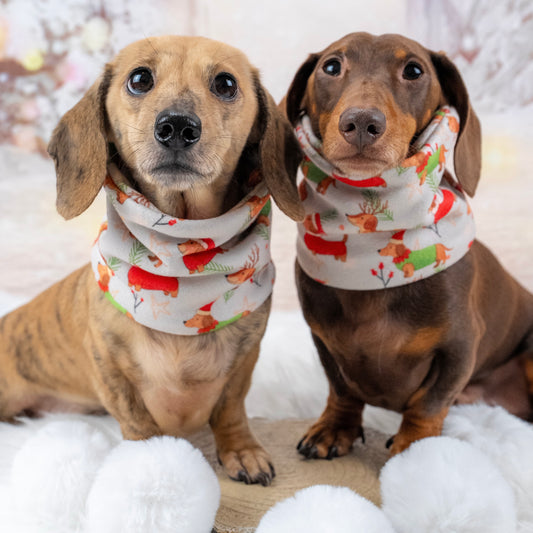 Frosty Sausages  Dachshund Christmas Dog Snood Scarf