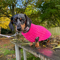 Load image into Gallery viewer, Raspberry Ripple Luxury Cable Knit Dachshund Jumper - Sausage Dog Box
