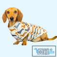Load image into Gallery viewer, Beige Sausage Dog DoxieCool Dachshund Cooling Tee +30 Sun Protection Dog Vest
