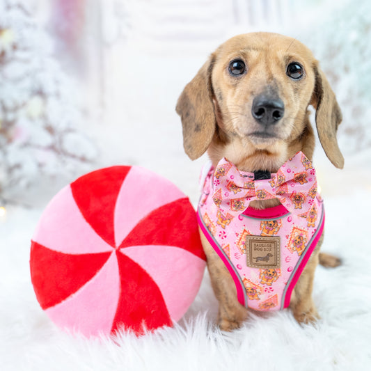 ‘Dashin’ Through The Dough’ Gingerbread Anti-Rub Dachshund Christmas Harness