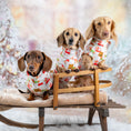 Load image into Gallery viewer, Frosty Sausages Christmas Dachshund Jumper - Long Dog Zipper Fleece
