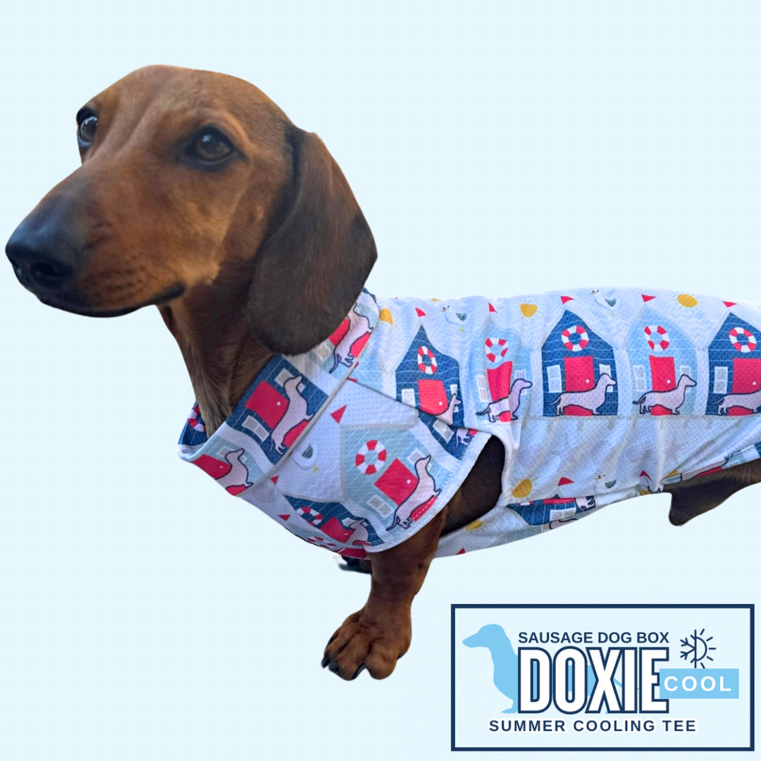 Nautical Sandy Sausage DoxieCool Dachshund Cooling Vest For Dachshund Dogs