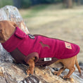 Load image into Gallery viewer, Merlot Waterproof Dachshund Harness Fleece | DoxieDri Step-In Fleece
