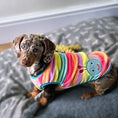 Load image into Gallery viewer, PJ's/Jumper - Colourful Caterpillar
