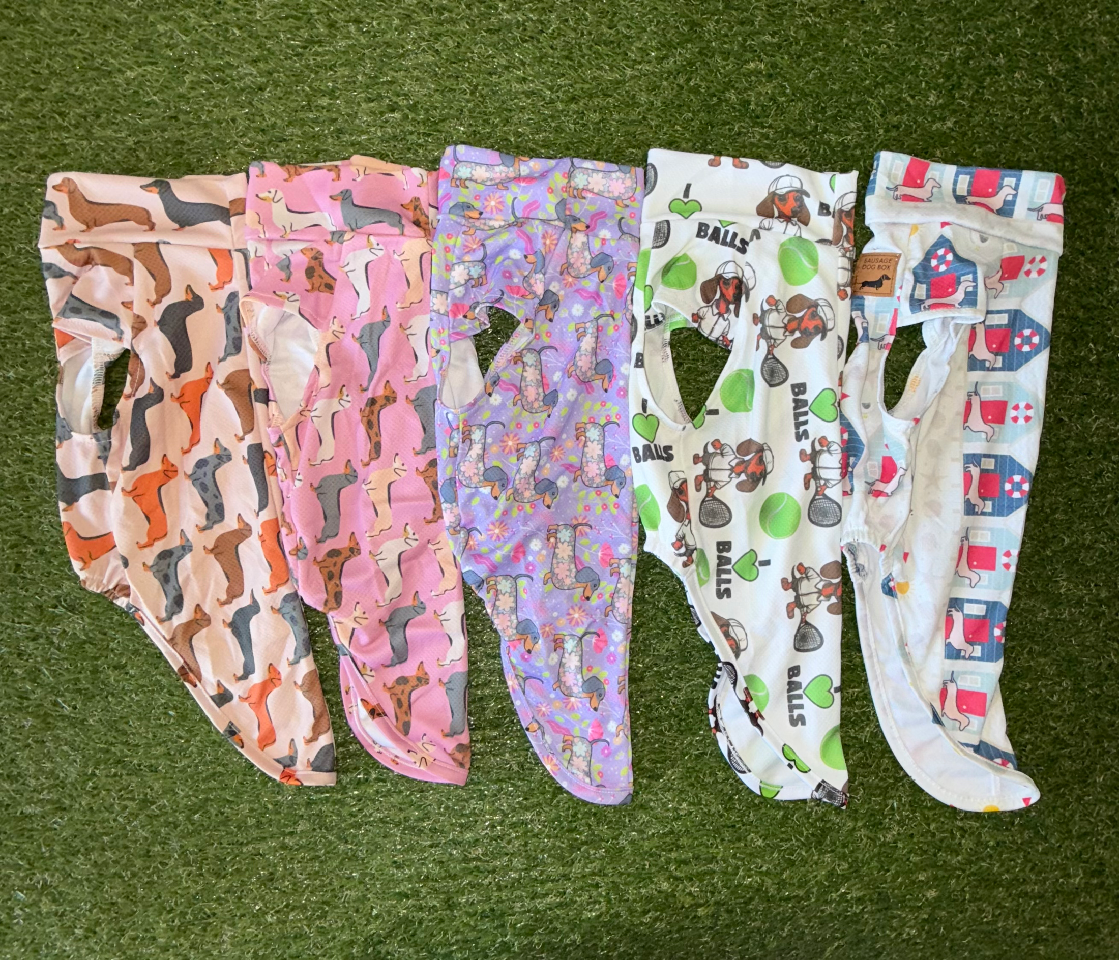 Dachshund In Bloom DoxieCool Dog Cooling Vest for Dachshunds