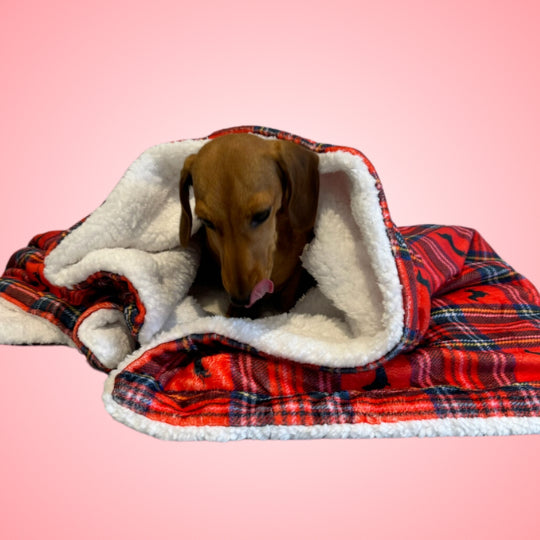 Supersize Red Dachshund Blanket - Tart’n Up