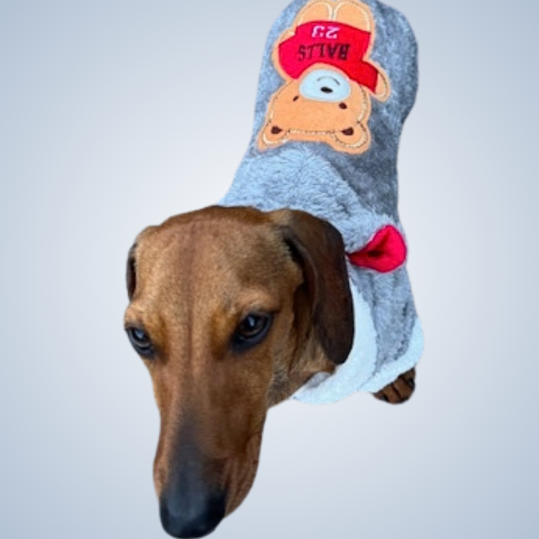 Double Fleece Dachshund Outfit - 'Jordans' BALLS 23 | Sausage Dog Box