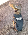 Load image into Gallery viewer, CLEARANCE - Sausage Dog Box Security Vest
