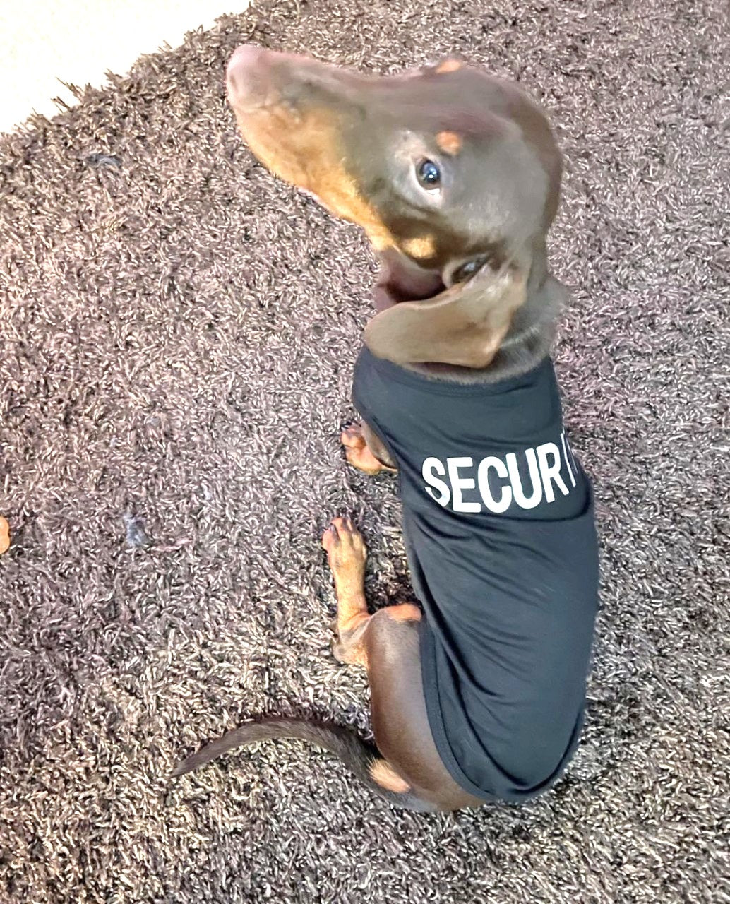 CLEARANCE - Sausage Dog Box Security Vest