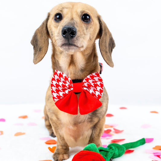 Red Houndstooth Sailor Bow for Dachshunds