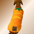 Load image into Gallery viewer, ‘The Carrot’ Dachshund Jumper PJ's | Sausage Dog Box
