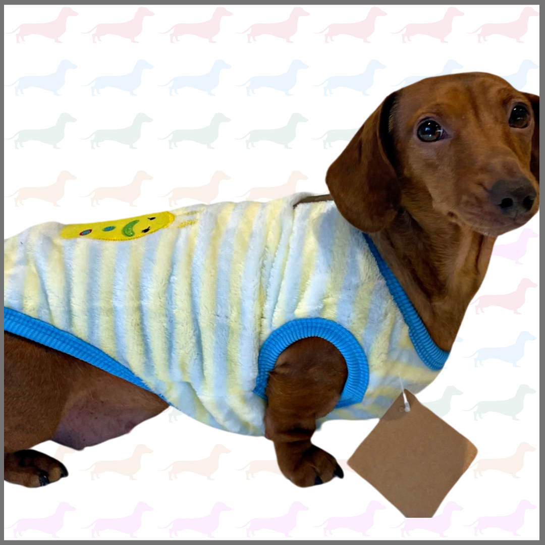 Speedy Snail - Sausage Dog Box Dachshund PJ's/Jumper