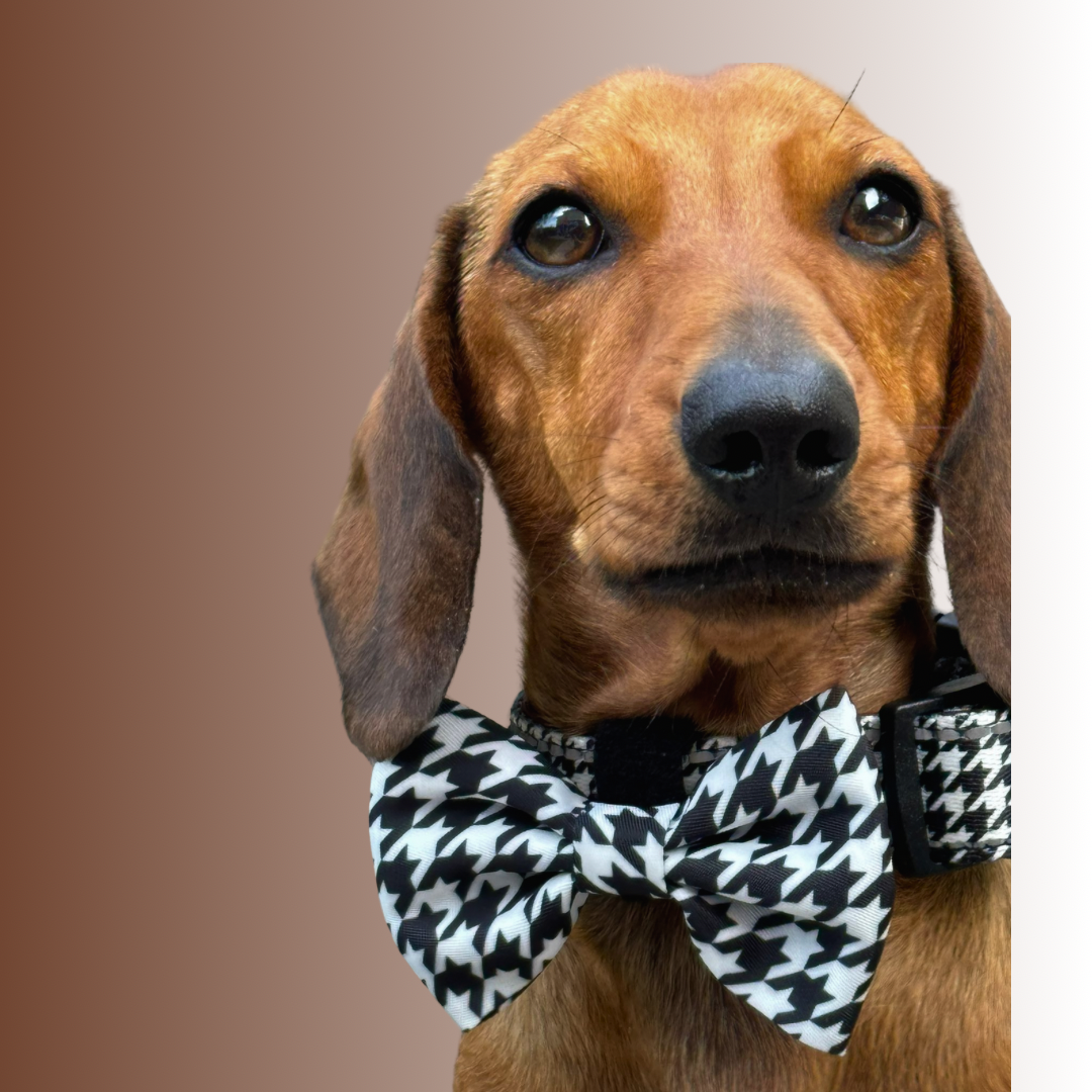 Houndstooth Bow Tie