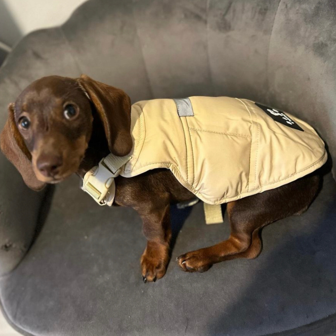 BARK AVENUE Luxury Ultimate Explorer Coat  - Stone